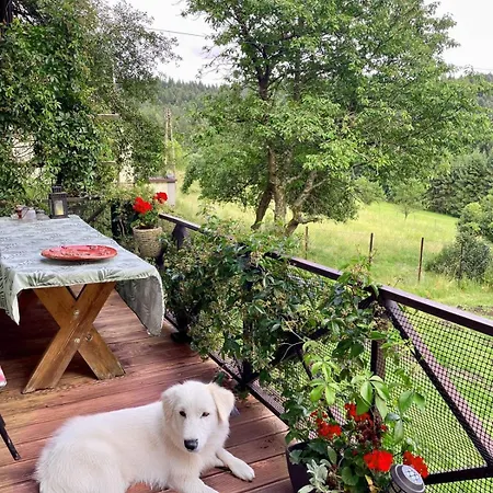 펜션 Klimatyczny Dom Z Widokiem Na Babia - Kominek I Ogrodzenie 마쿠프 포트할란스키