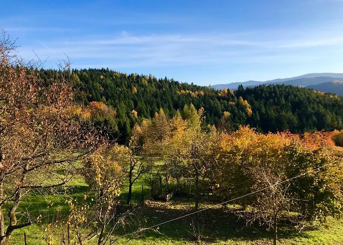 Klimatyczny Dom Z Widokiem Na Babia - Kominek I Ogrodzenie Makow Podhalanski