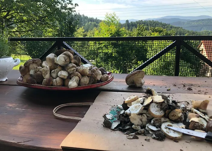 Klimatyczny Dom Z Widokiem Na Babia - Kominek I Ogrodzenie Casa de Férias Makow Podhalanski